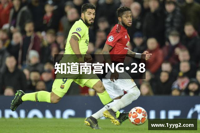 知道南宫NG·28